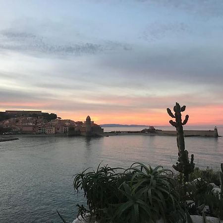 Appartement Collioure Centre & Garage Privatif Exterior foto