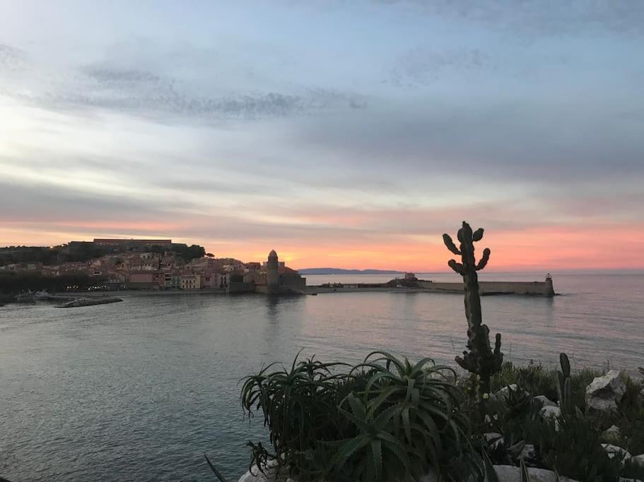 Appartement Collioure Centre & Garage Privatif Exterior foto